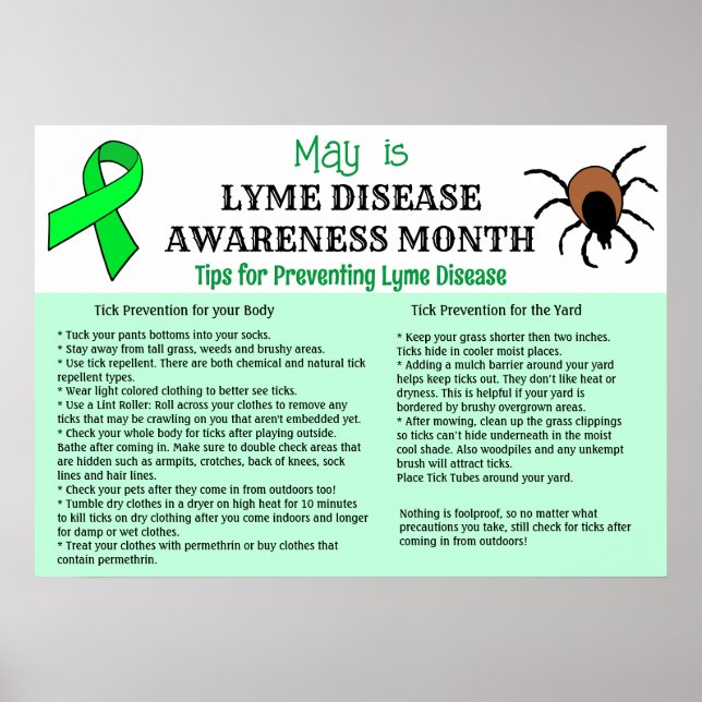 Poster Prevenção da Doença de Lyme Educacional (Frente)