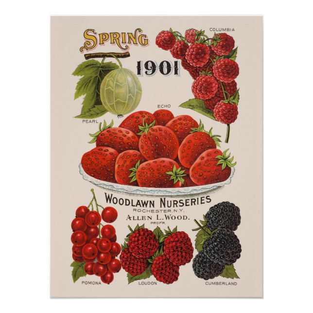 Póster Primavera (Frente)