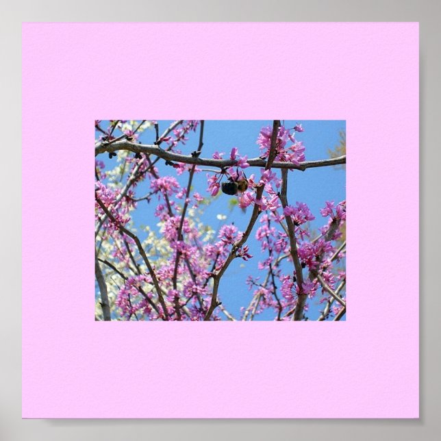 Póster Primavera... (Frente)