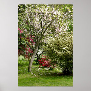 Póster Primavera