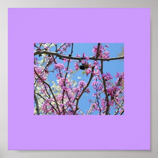 Póster Primavera (Frente)