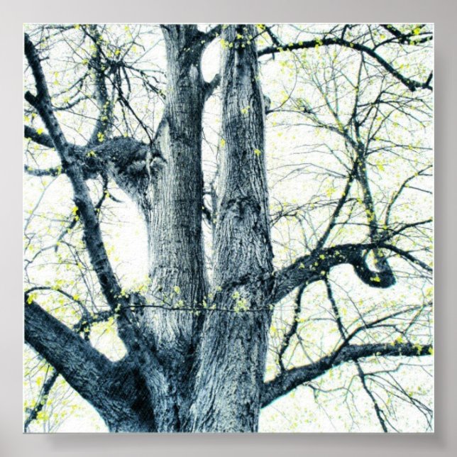 Poster Primavera (Frente)