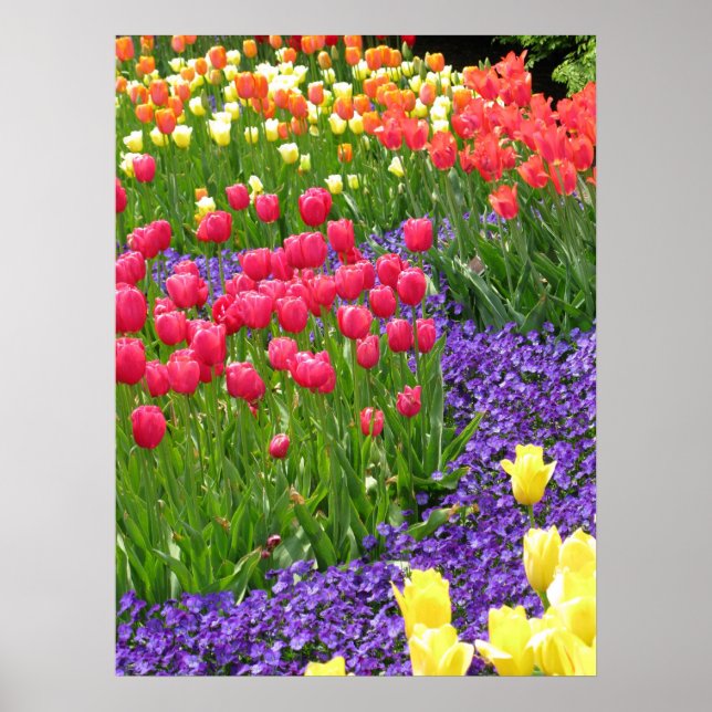 Póster primavera (Frente)