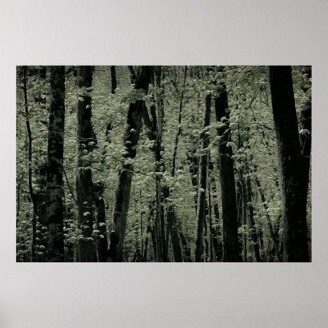 Poster Primavera (Frente)