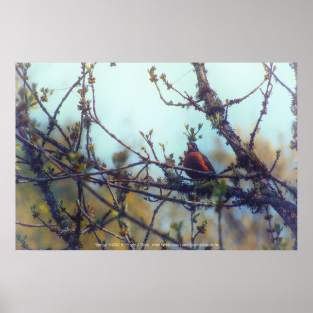 Poster Primavera (Frente)