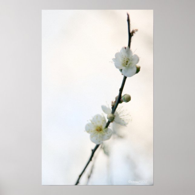 Poster Primavera Bliss (Frente)