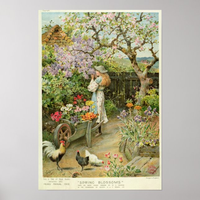 Póster Primavera Blossoms, do ano das peras, 1902 (Frente)