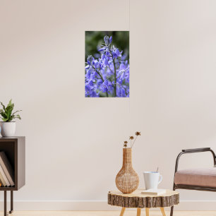 Poster Primavera Bluebells após a chuva