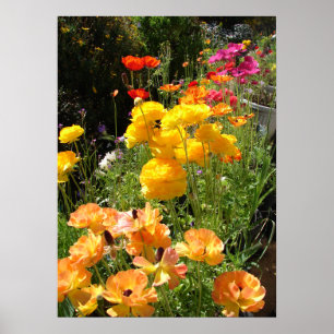 Poster Primavera Bulbs Cottage Garden Floral Flowers Post