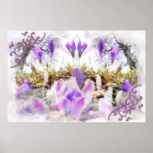 Poster Primavera Crocuses (Frente)