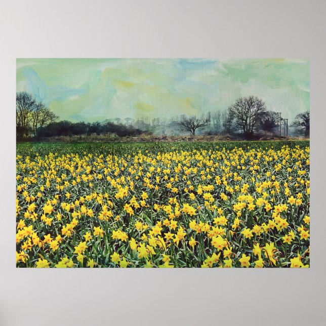 Póster Primavera daffodil Fields (Frente)