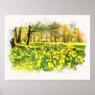 Poster Primavera Daffodilos