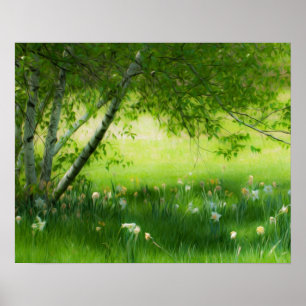 Póster Primavera Daffodils