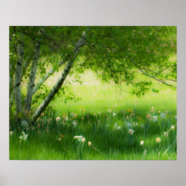 Póster Primavera Daffodils (Frente)
