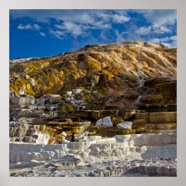 Póster Primavera de Mammoth Hot (Frente)