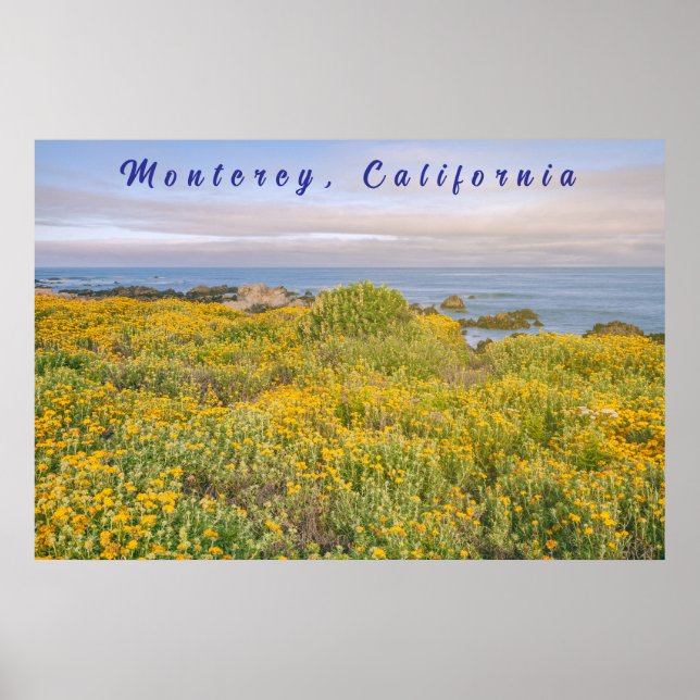 Poster Primavera de Monterey (Frente)