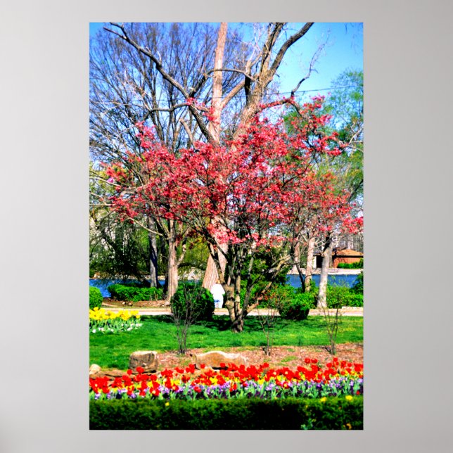 Póster Primavera de Nashville (Frente)