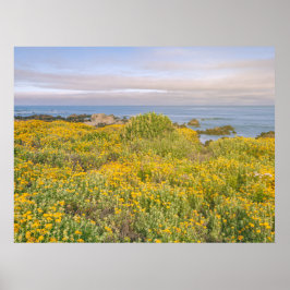 Poster Primavera em Monterey