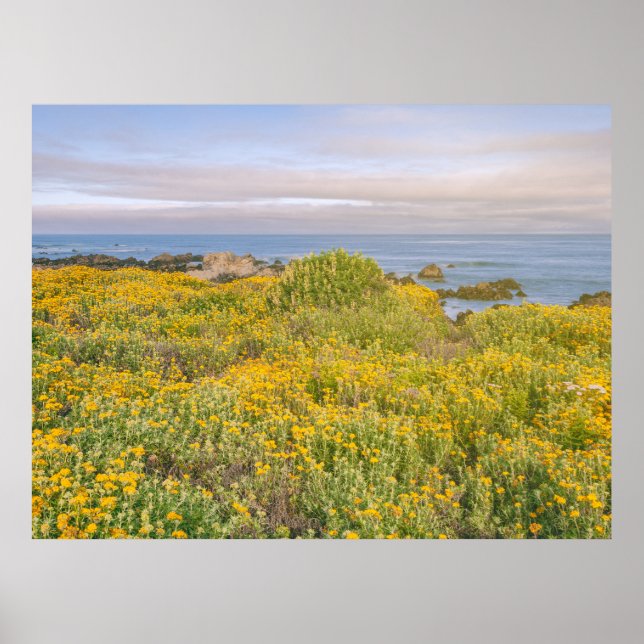 Poster Primavera em Monterey (Frente)
