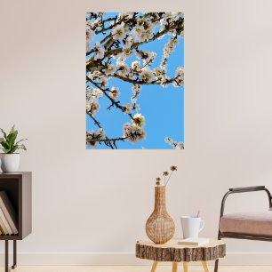 Poster Primavera esbranquiçado