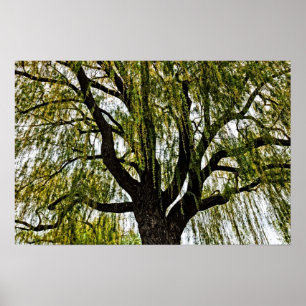 Póster primavera espera silenciada