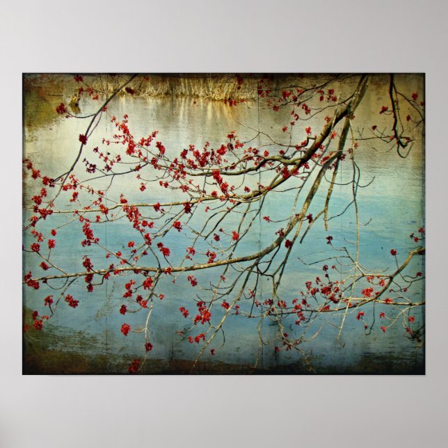 Póster Primavera está a arder por toda a parte (Frente)