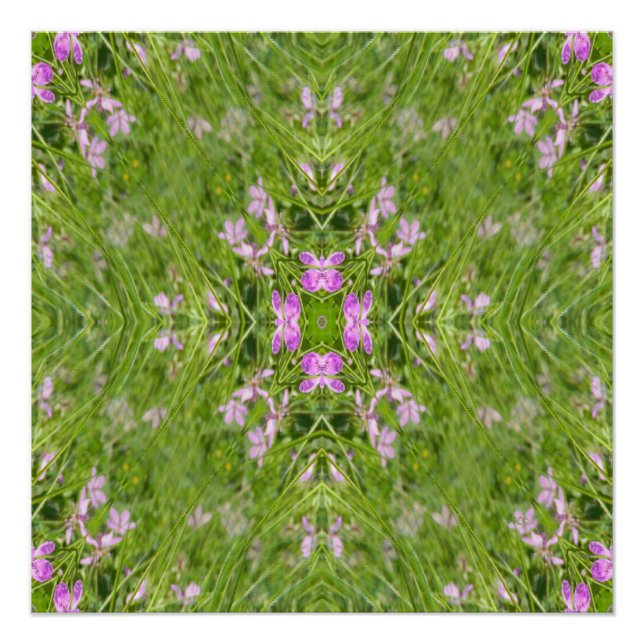 Póster Primavera está de volta! (Frente)
