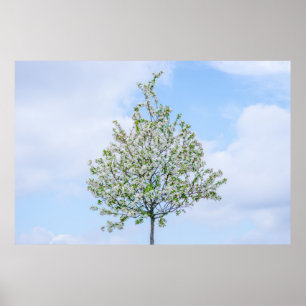 PÓSTER PRIMAVERA - FELZ PASCOA