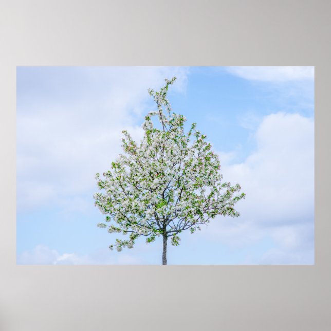 PÓSTER PRIMAVERA - FELZ PASCOA (Frente)