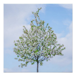 PÓSTER PRIMAVERA - FELZ PASCOA