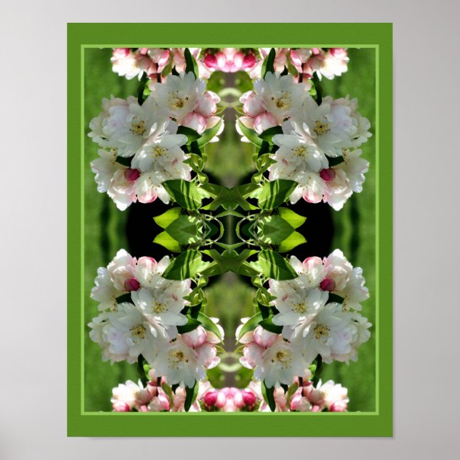 Poster Primavera Flower Crabapple Blossoms Abstrato (Frente)