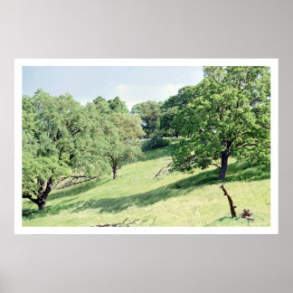 Poster Primavera Hillside, San Jose (poster)