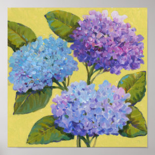 Póster Primavera Hydrangeas I
