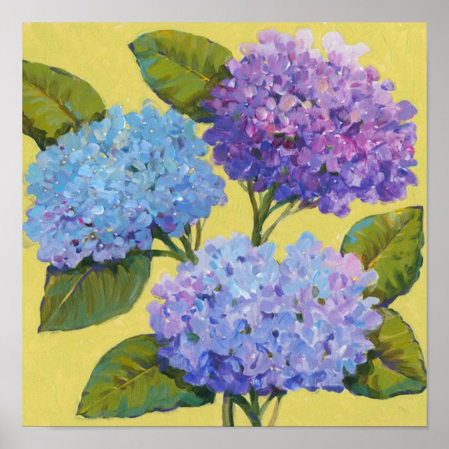 Póster Primavera Hydrangeas I (Frente)