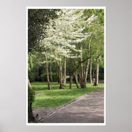Póster Primavera Irlanda