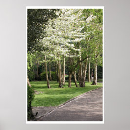 Póster Primavera Irlanda