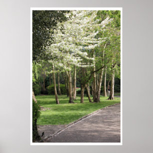 Póster Primavera Irlanda