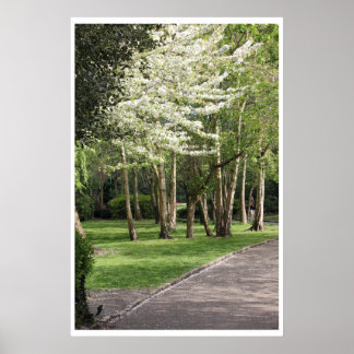 Póster Primavera Irlanda