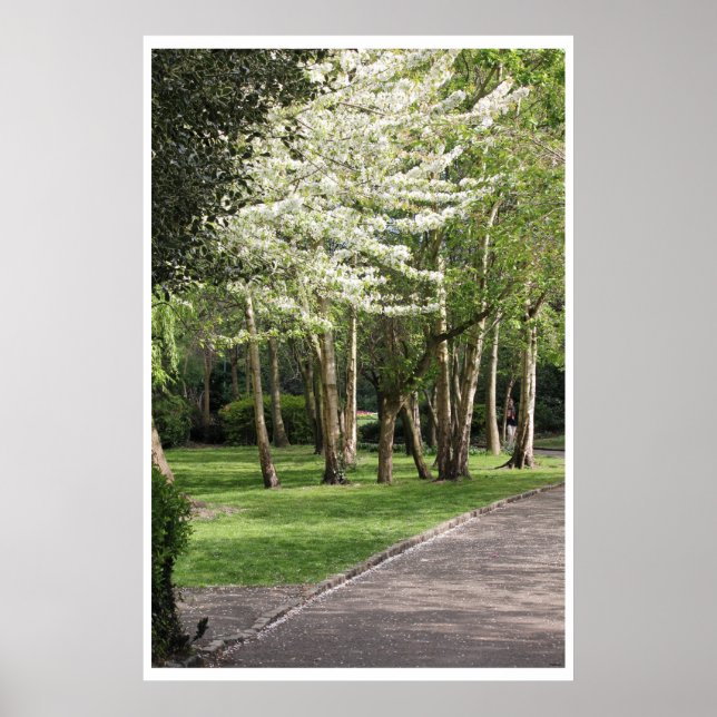 Póster Primavera Irlanda (Frente)