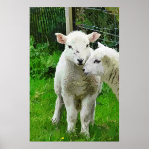 PÓSTER PRIMAVERA LAMBS