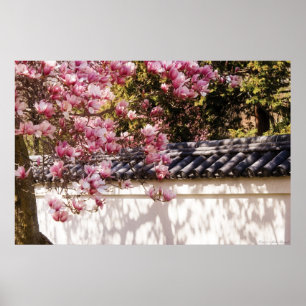 Póster Primavera - Magnolia