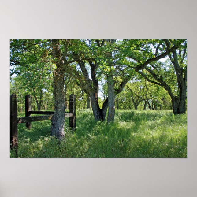 Póster primavera Meadow (Frente)