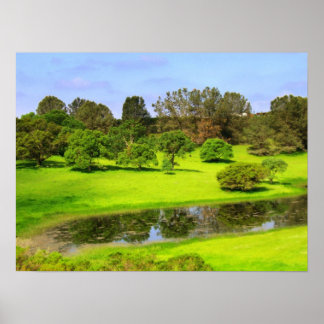 Póster Primavera Meadow