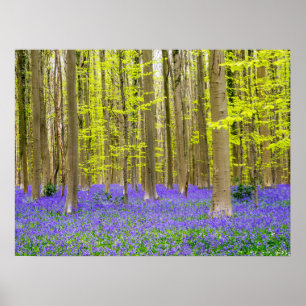 Poster Primavera na Floresta Azul