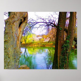 Poster Primavera no Central Park