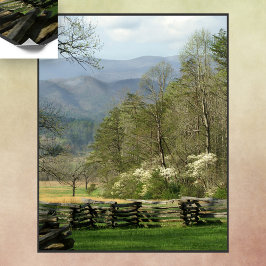 Poster Primavera no John Oliver Cabin