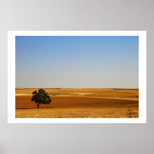 Póster Primavera no Negev (Frente)