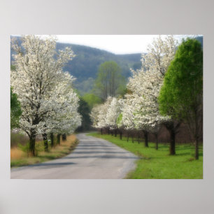 Poster Primavera no país