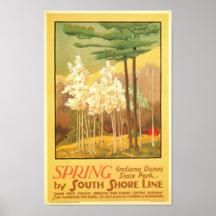 Póster Primavera no parque estadual das dunas de Indiana