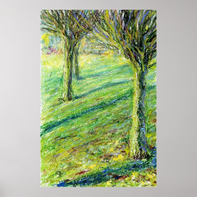 Póster Primavera no West Park, Long Eaton (impressão) (Frente)